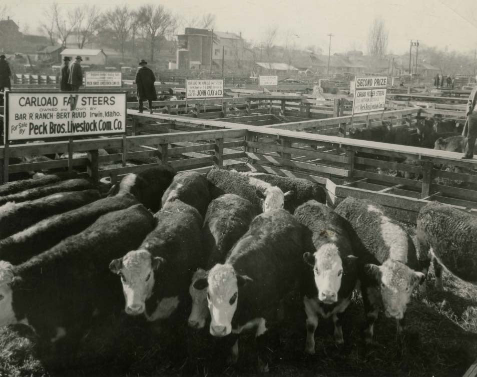 ogden-stockyards-pens.jpg
