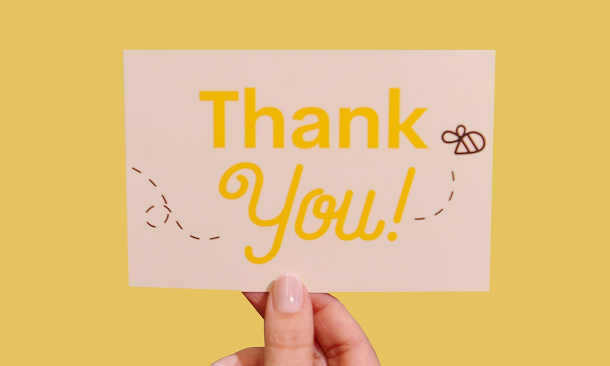 Thank You Box Launch