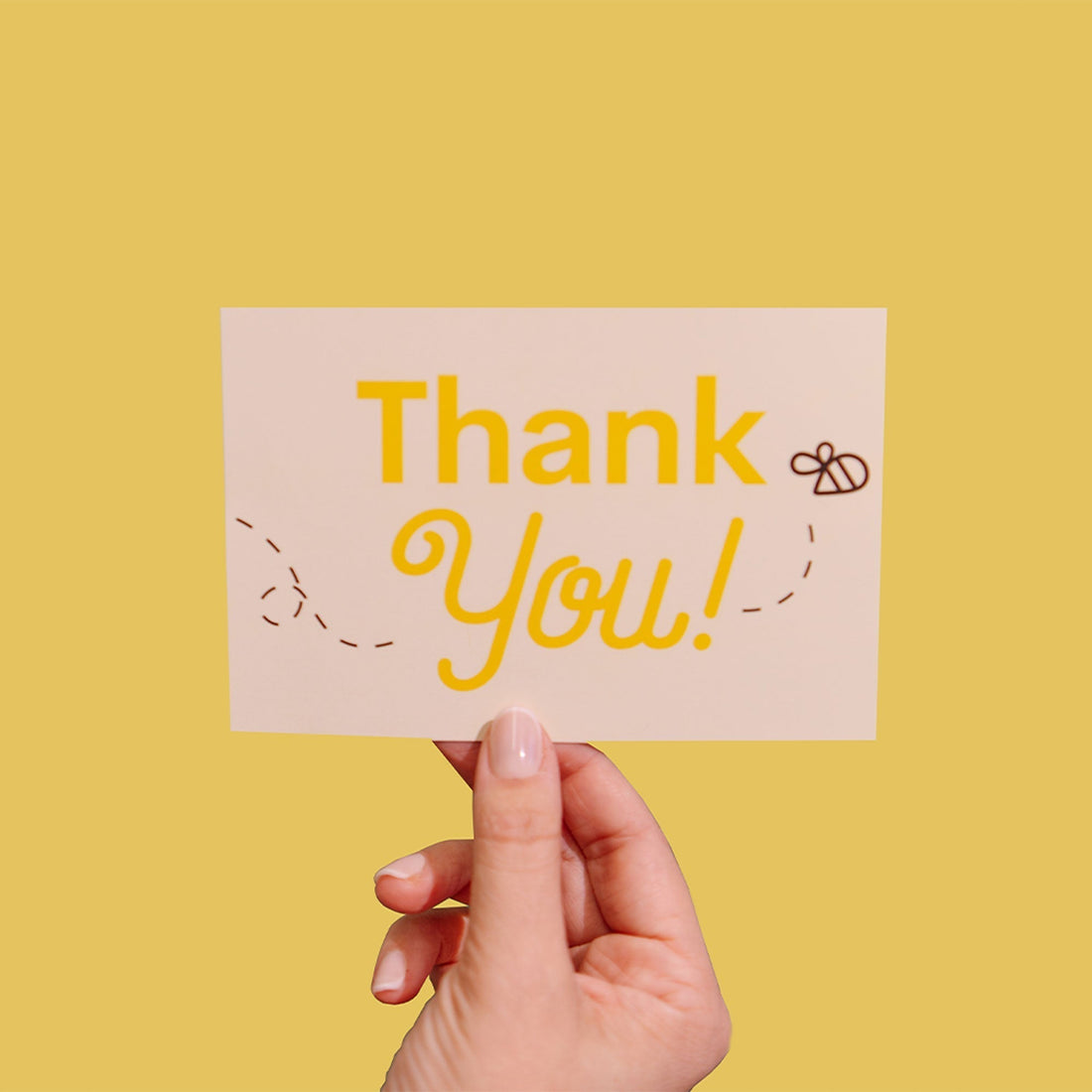 Thank You Box Launch