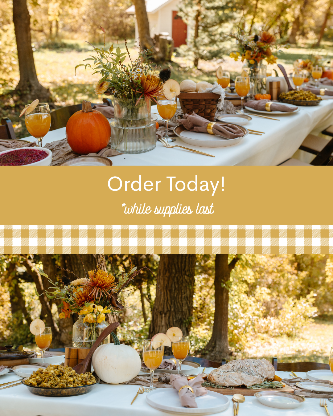 Thanksgiving Box